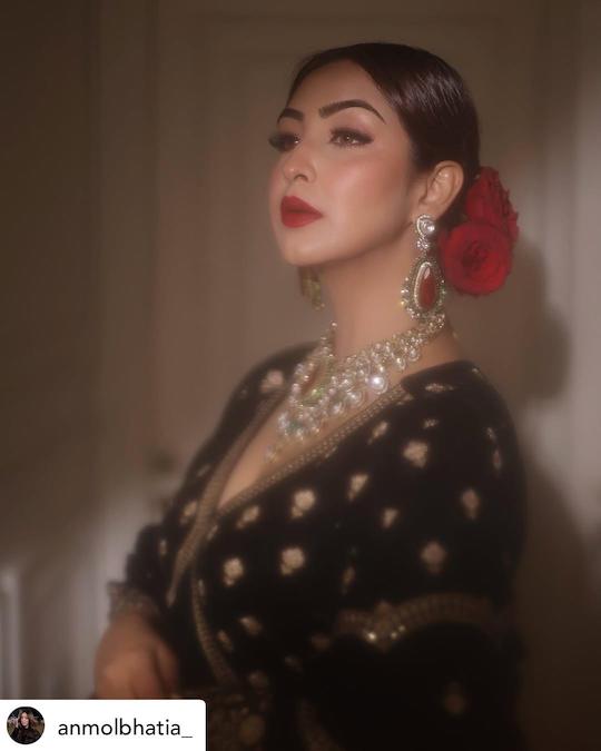 Maharani Polki haar image 2